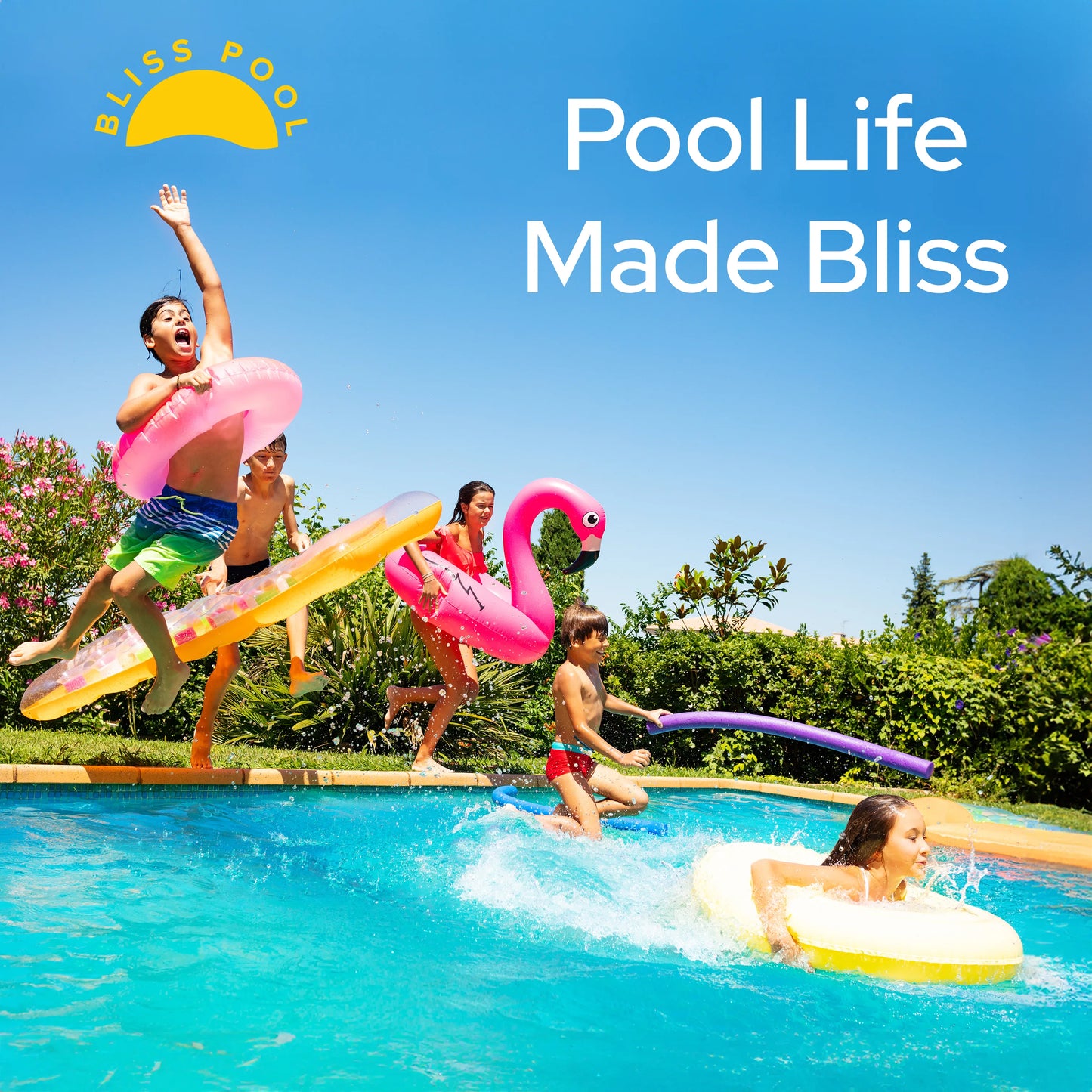 Bliss Pool pH Up